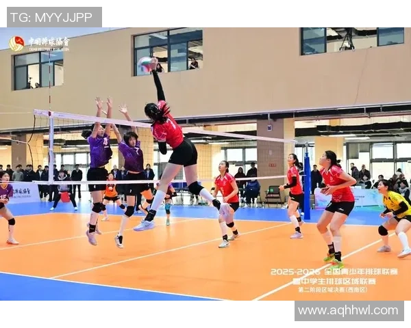 重庆排球队的成长历程与奋斗精神全景纪实