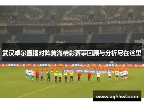 武汉卓尔直播对阵黄海精彩赛事回顾与分析尽在这里